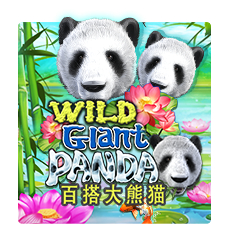  Wild Giant PandaJoker